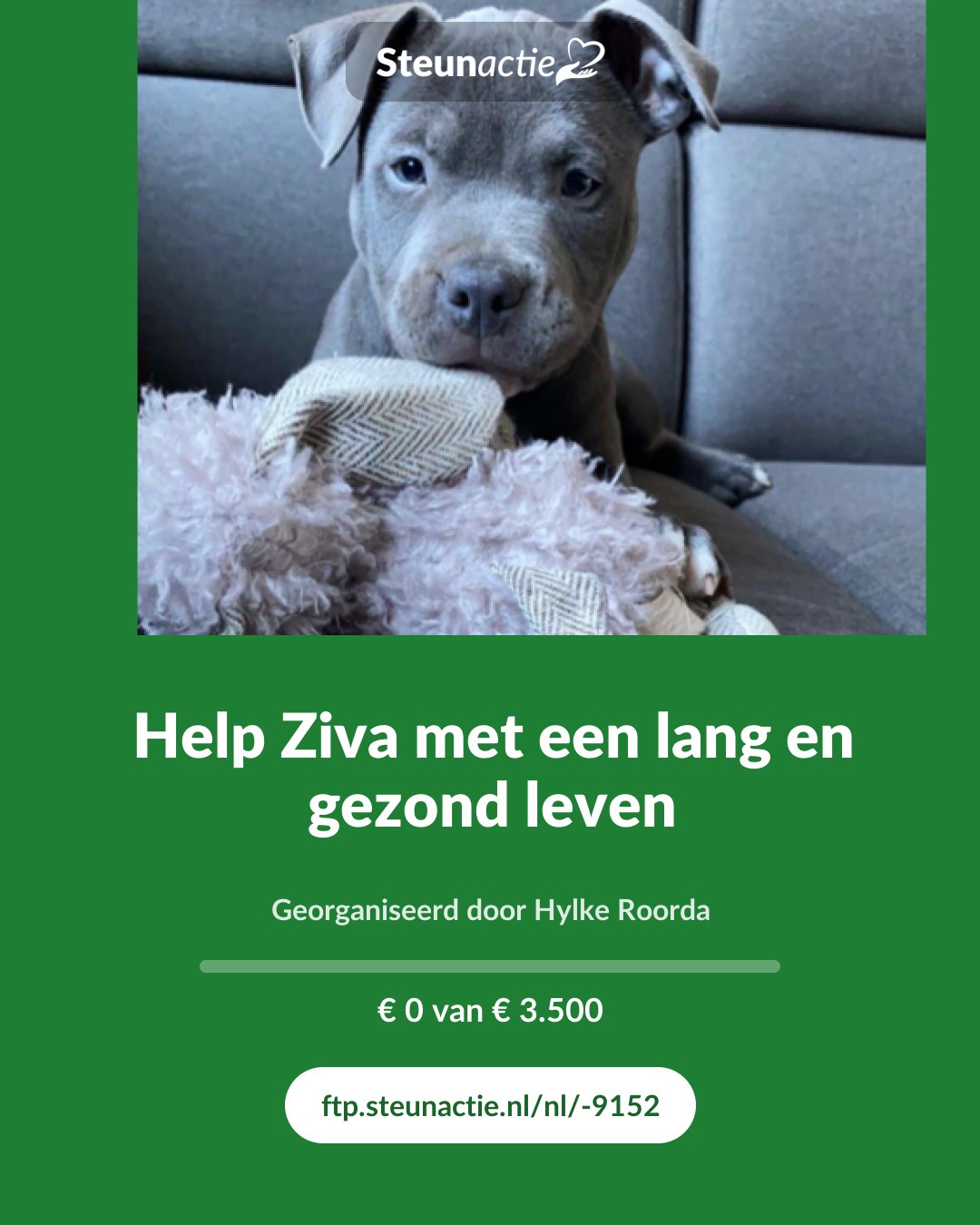 Voorbeeld van de afbeelding