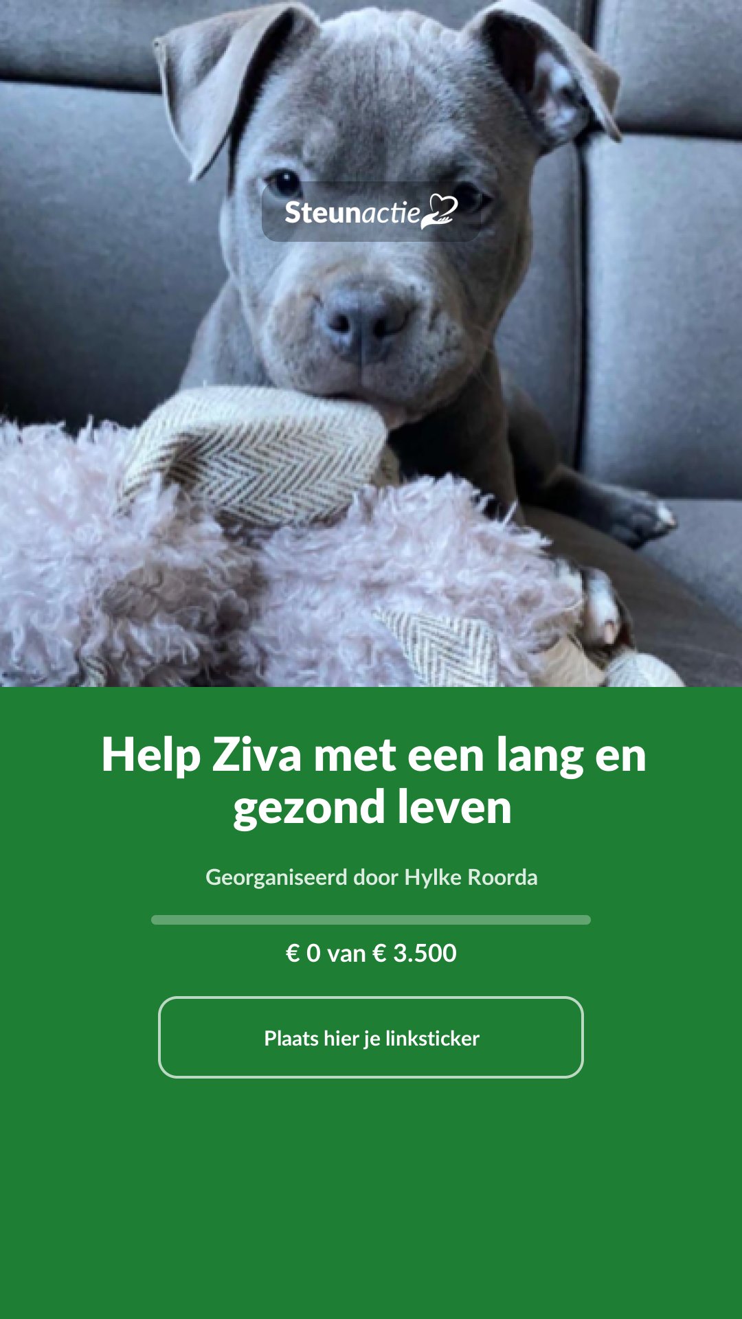 Voorbeeld van de afbeelding