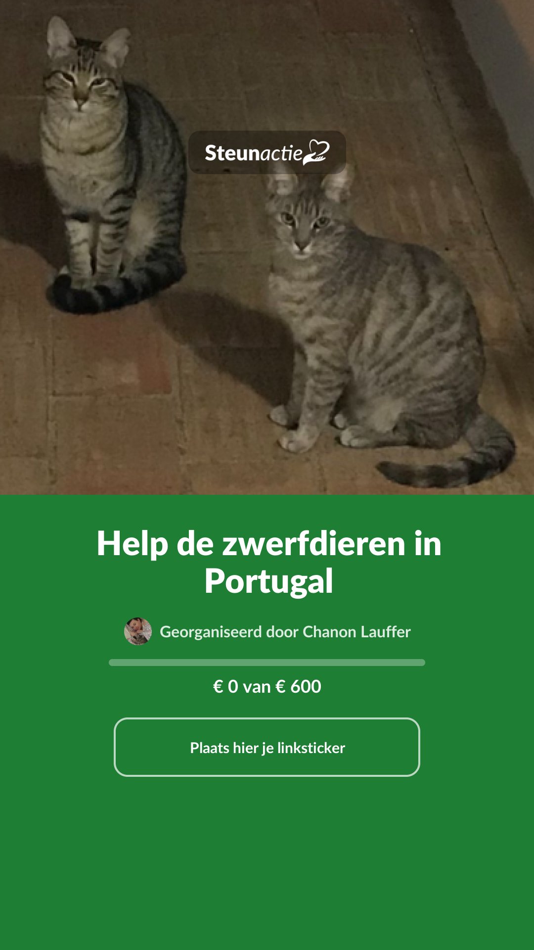 Voorbeeld van de afbeelding