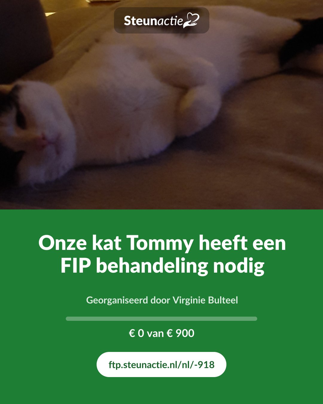 Voorbeeld van de afbeelding