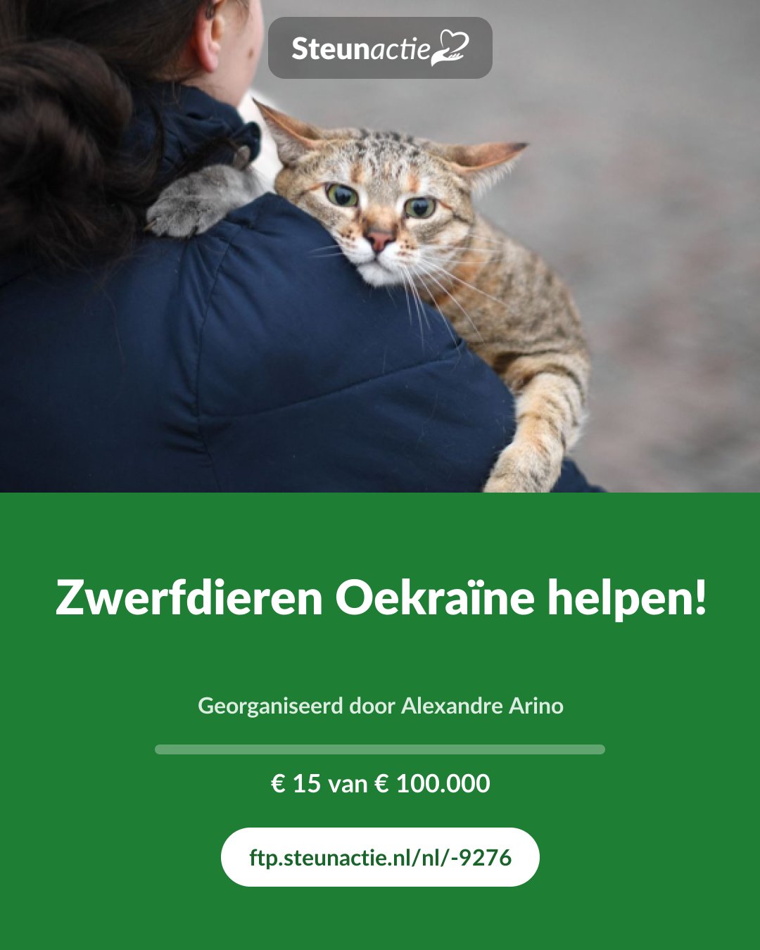 Voorbeeld van de afbeelding