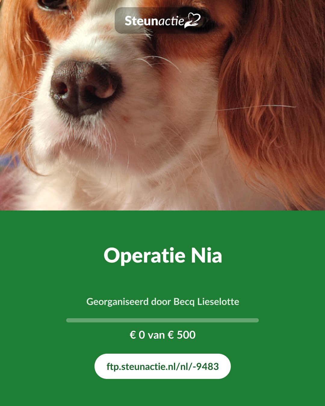Voorbeeld van de afbeelding