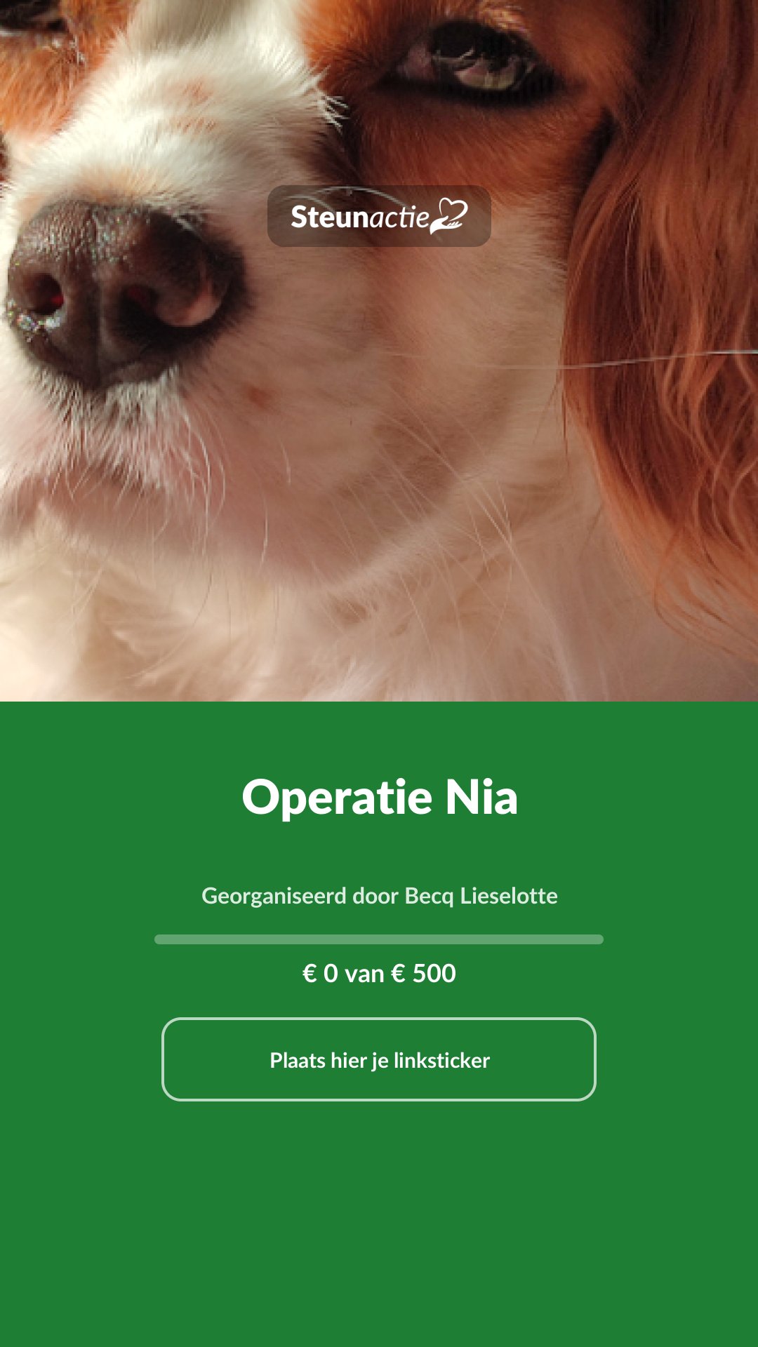Voorbeeld van de afbeelding