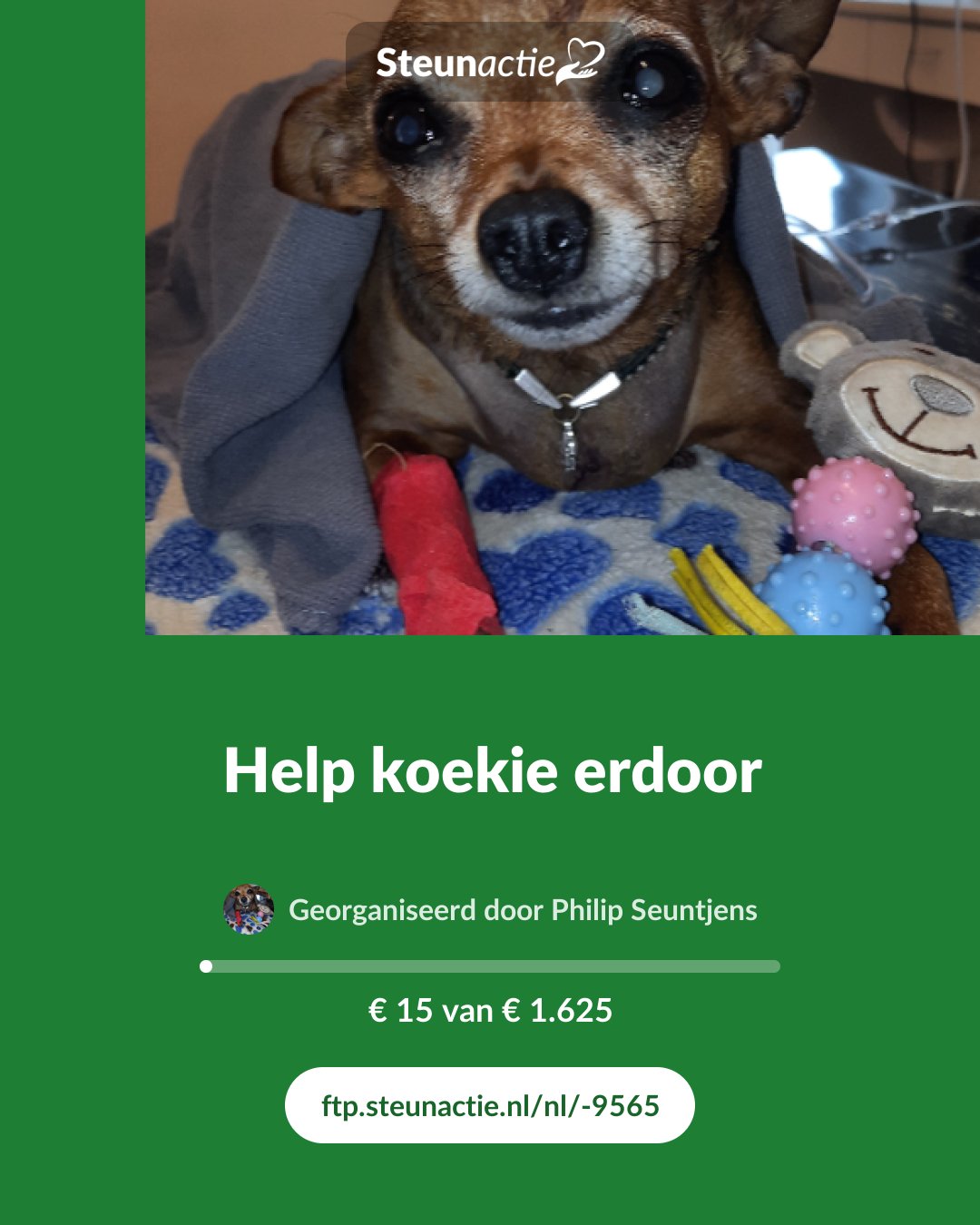 Voorbeeld van de afbeelding