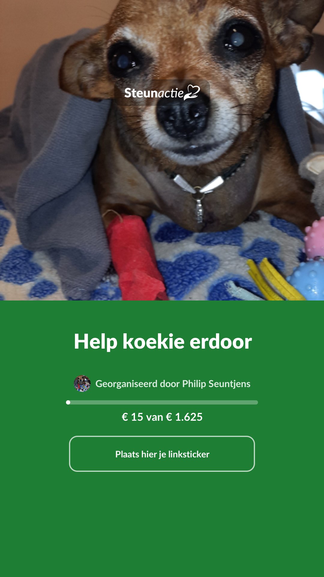 Voorbeeld van de afbeelding