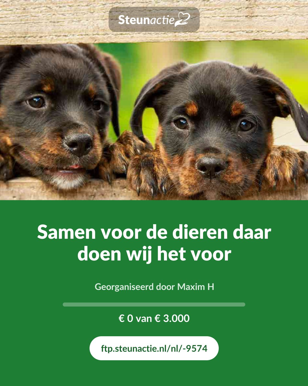 Voorbeeld van de afbeelding