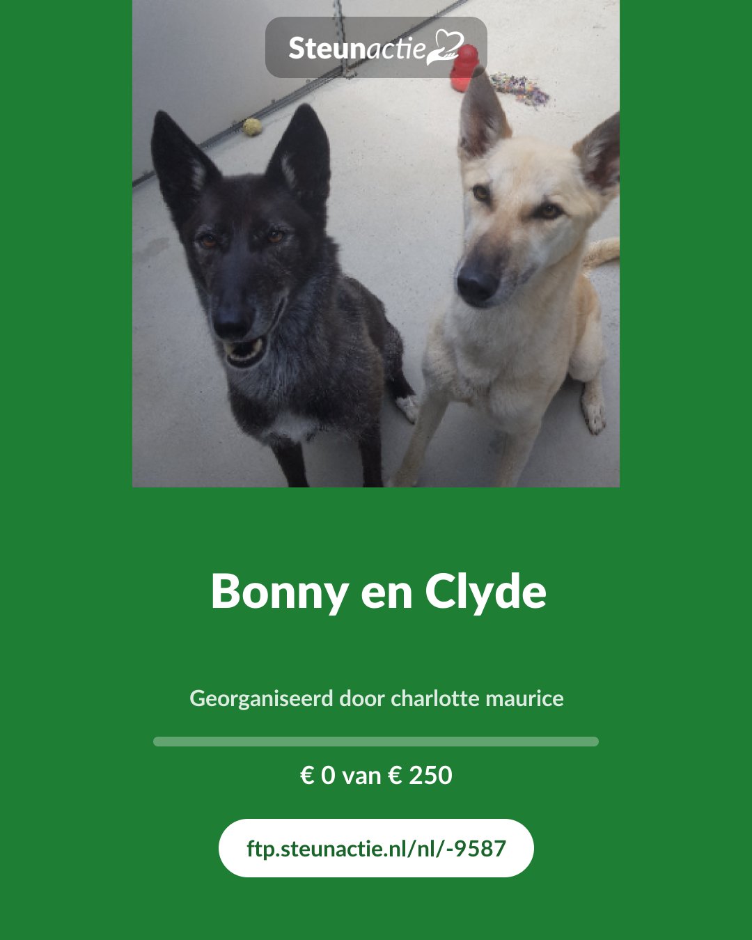 Voorbeeld van de afbeelding