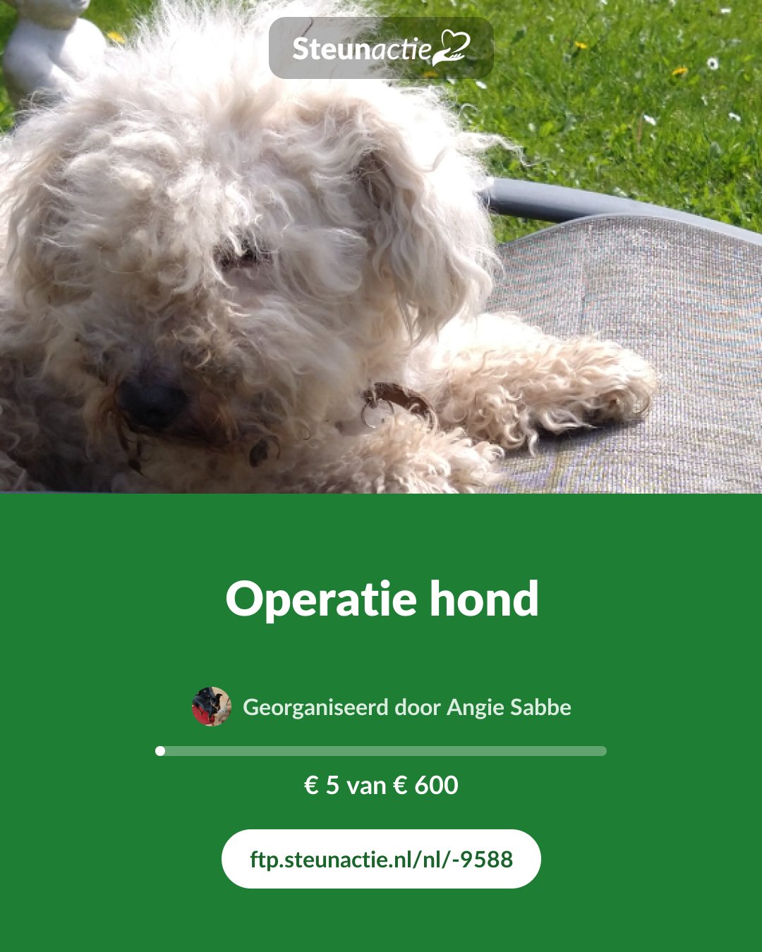 Voorbeeld van de afbeelding