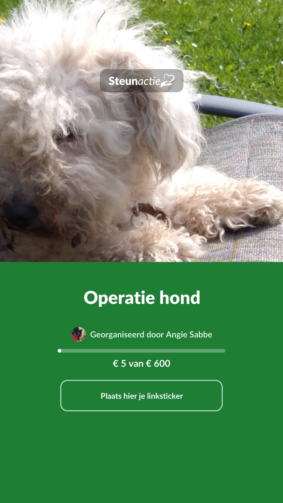 Voorbeeld van de afbeelding