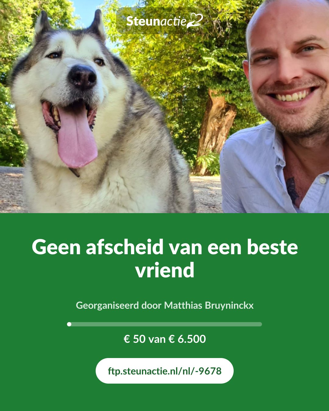 Voorbeeld van de afbeelding