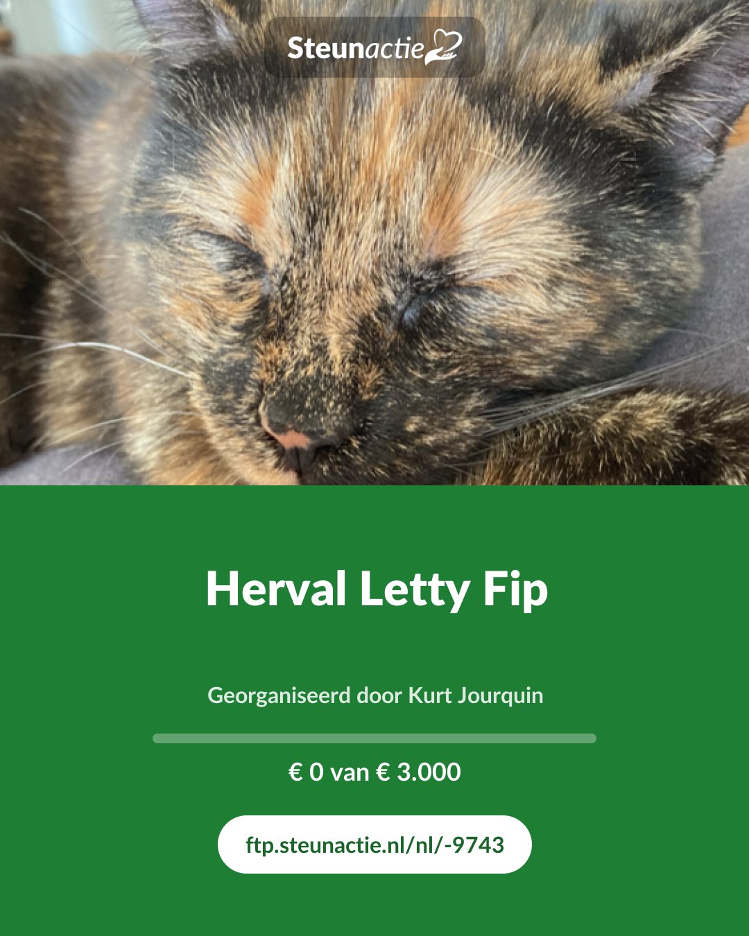 Voorbeeld van de afbeelding