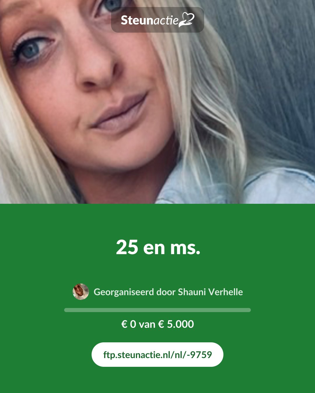 Voorbeeld van de afbeelding