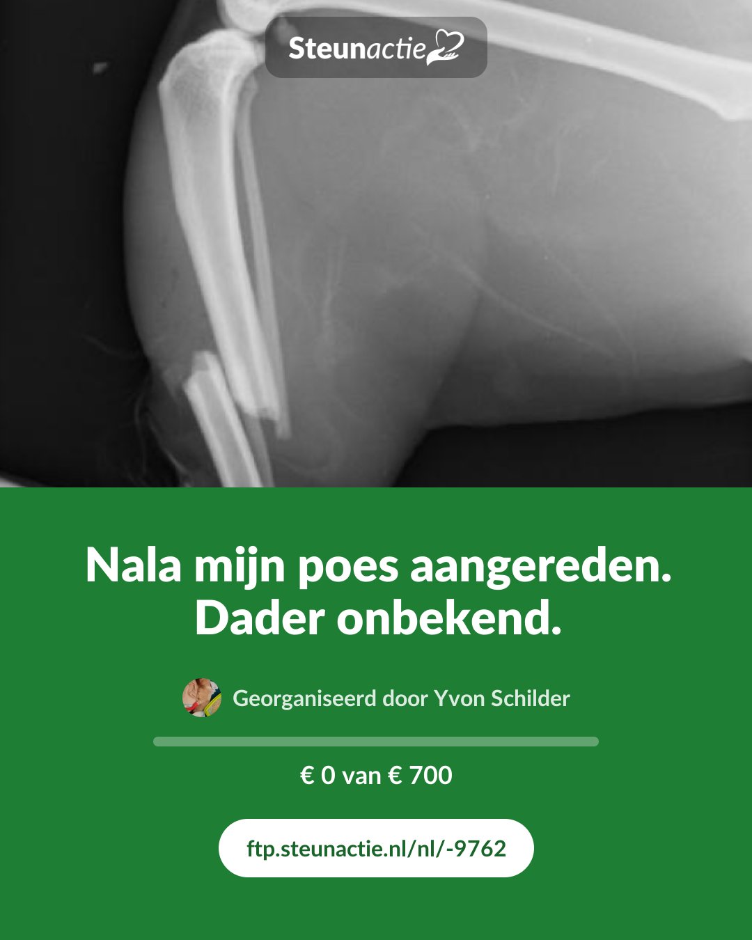 Voorbeeld van de afbeelding