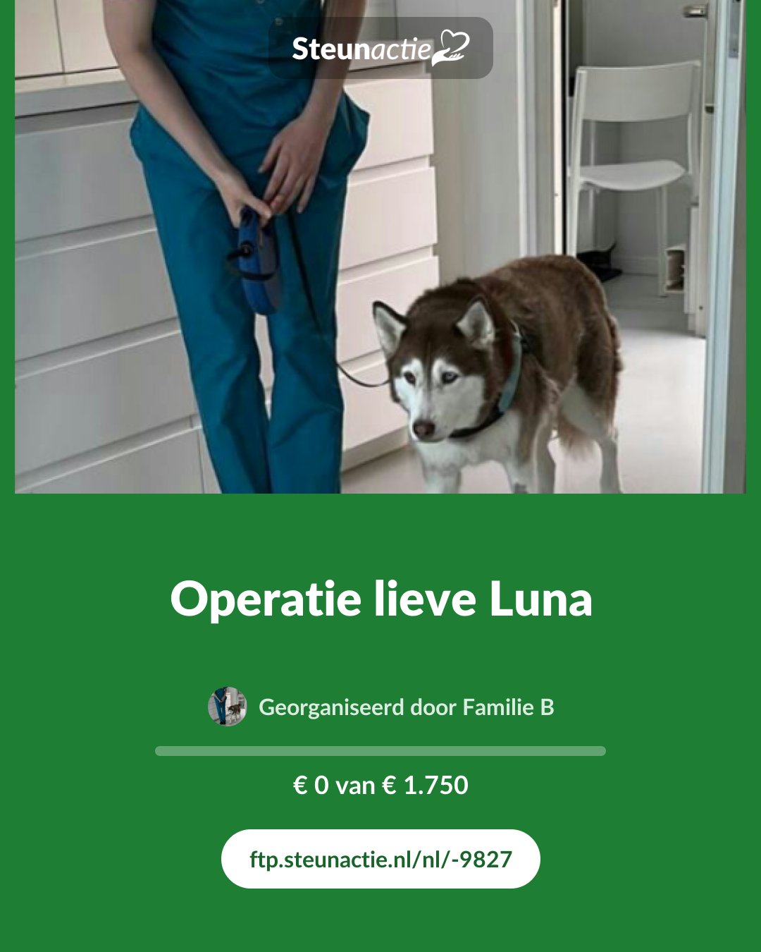 Voorbeeld van de afbeelding