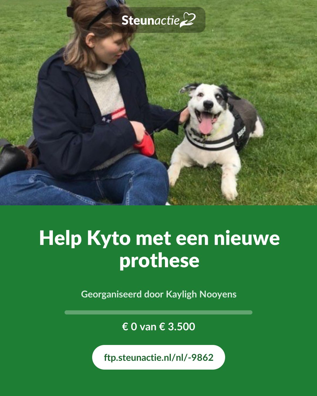 Voorbeeld van de afbeelding