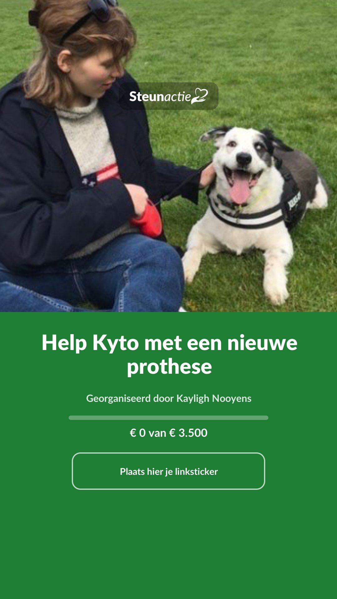 Voorbeeld van de afbeelding