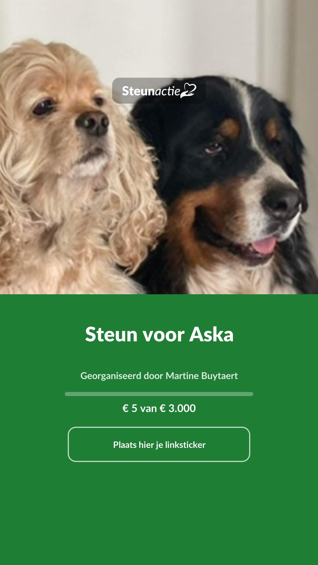 Voorbeeld van de afbeelding