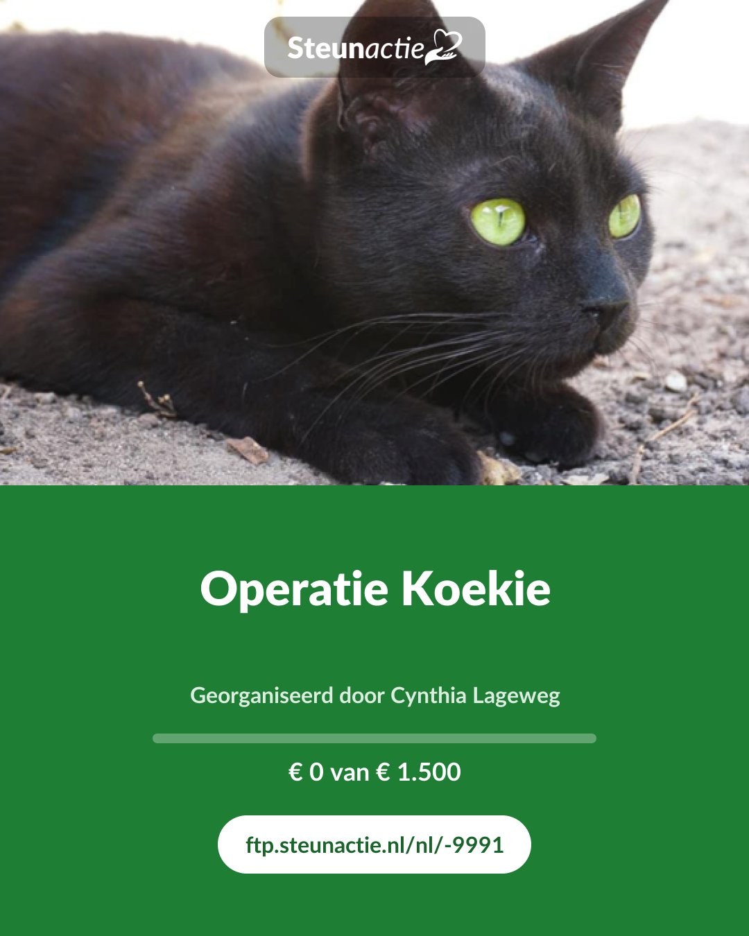 Voorbeeld van de afbeelding