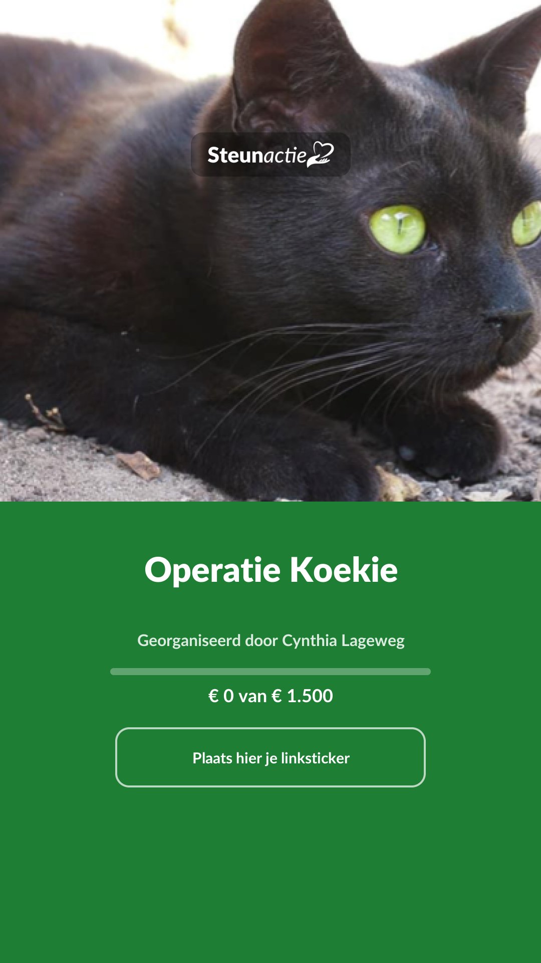 Voorbeeld van de afbeelding