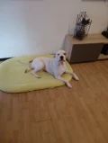 img 20221126 090809108 mfnr