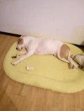 img 20221128 193909842 mfnr