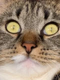a78ccc4f e621 4901 8609 43e24e63c5b9