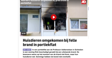 Brand bij Latisha, Jamaira, meester Marciano en Patricia
