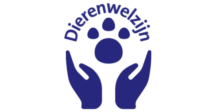  Help Bikkel, een Cyperse kater  