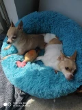 img 20230529 wa0000