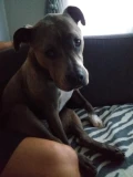 20230715 204023