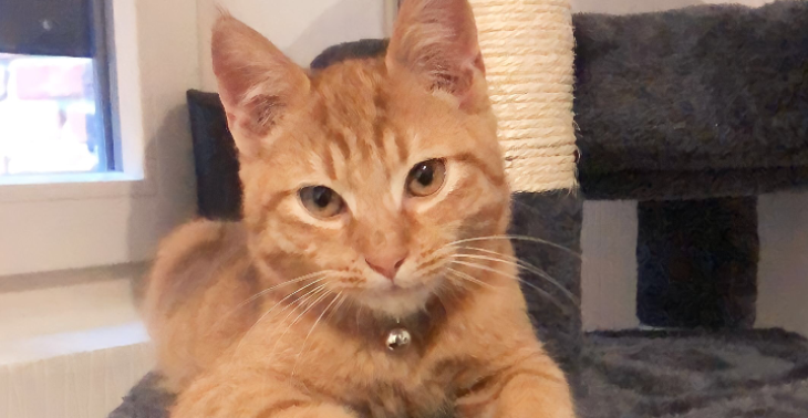 Help sjarel met zijn kosten voor de operatie aan zijn blaas
