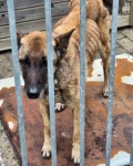 fb img 1693950779749