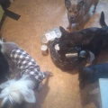 photo 2023 11 13 09 37 20