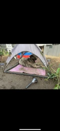 img 0318