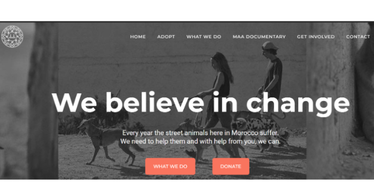 Some help for the rescue dogs @moroccoanimailaid.com