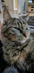 afbeelding van whatsapp op 2024 01 29 om 10.52.56 3370147d