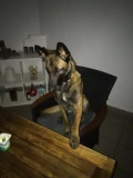 0d6c0765 488a 4a56 8662 765c1685b8e9