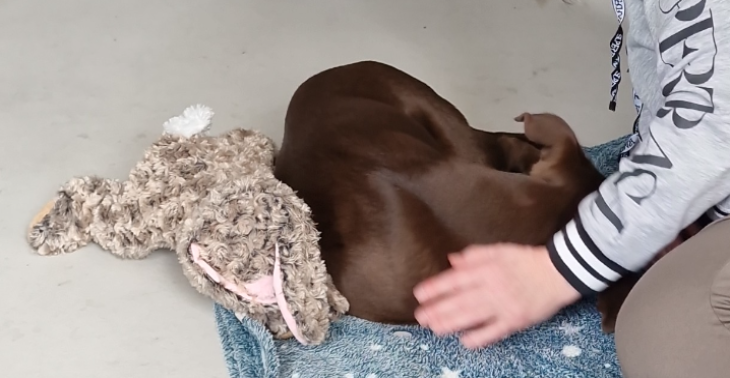 Help luna