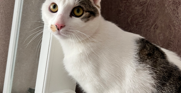 Help me aub om Yuna te redden!