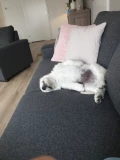 img 20190414 wa0006