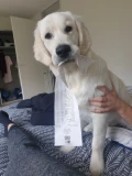 img 20190813 wa0007