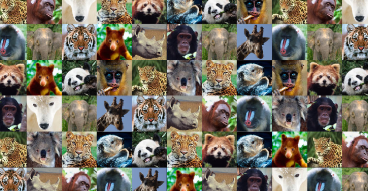 Dieren lief hebbers