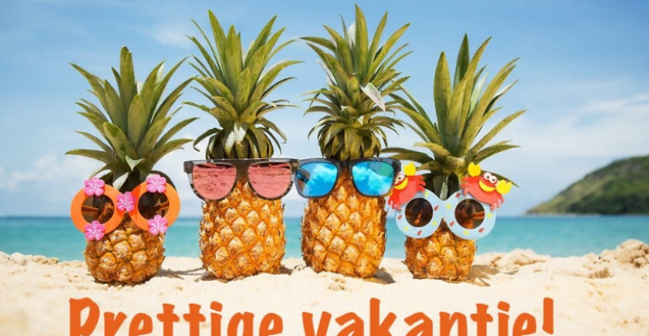 Help ons gezin met vakantie