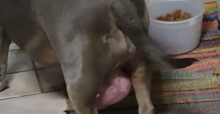 I kindly request your assistance in helping Princess