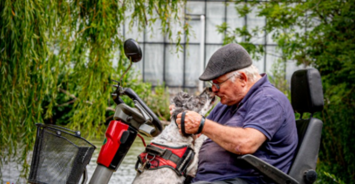 Help Wim aan een PTSS hulphond