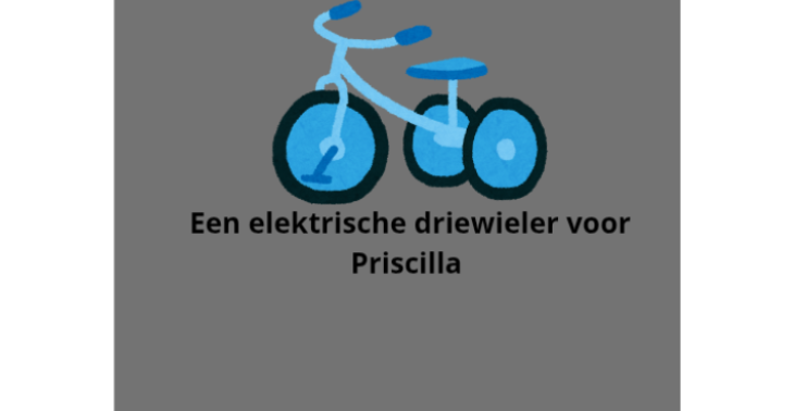 Electrische driewieler voor Priscilla