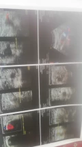 img 20211208 wa0000
