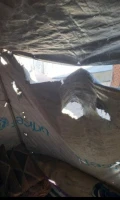 fatima holey tent
