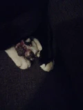 img 20220117 wa0000