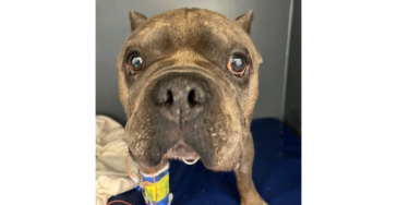 Help een alleenstaande moeder ❤️